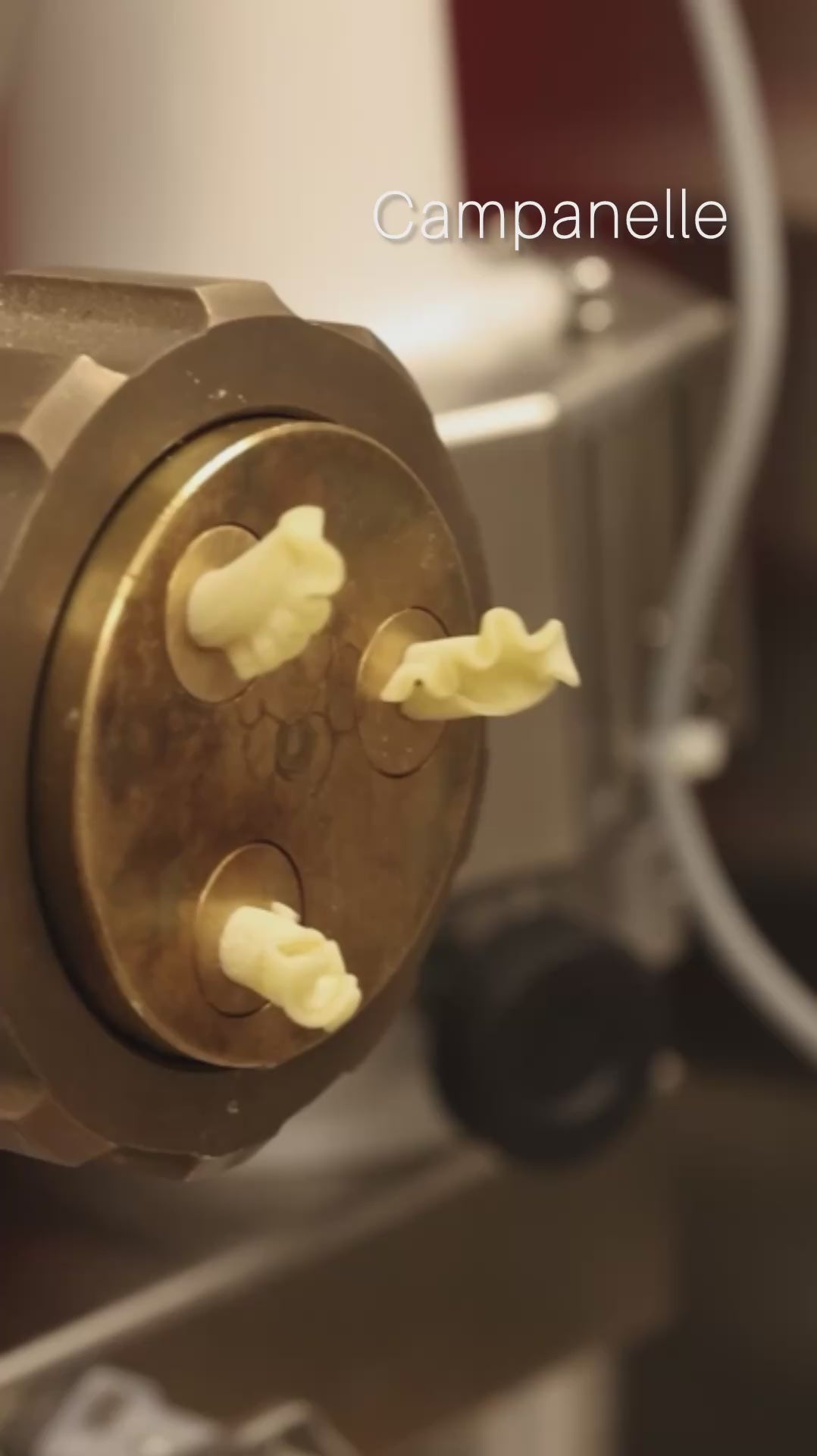 Orecchiette